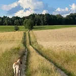 Zurawi Klangor Dom Z Sauna I Jacuzzi Ramsowo