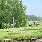 Zurawi Klangor Dom Z Sauna I Jacuzzi 度假居