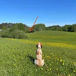 Zurawi Klangor Dom Z Sauna I Jacuzzi 度假居 Ramsowo