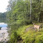 Zurawi Klangor Dom Z Sauna I Jacuzzi