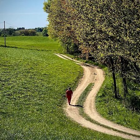 Zurawi Klangor Dom Z Sauna I Jacuzzi Ramsowo