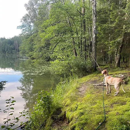 Zurawi Klangor Z Sauna I Jacuzzi