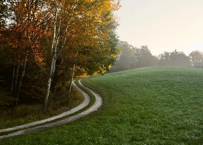 Zurawi Klangor Dom Z Sauna I Jacuzzi *