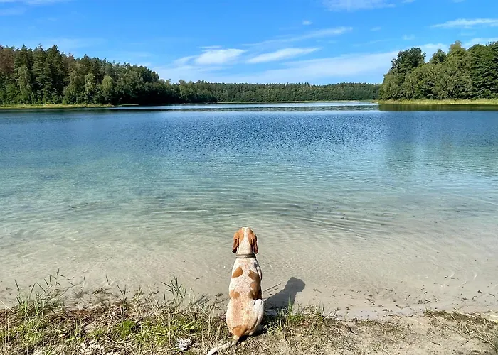 Zurawi Klangor Dom Z Sauna I Jacuzzi