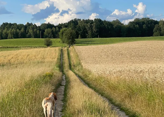 Zurawi Klangor Dom Z Sauna I Jacuzzi Ramsowo