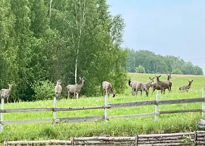 Zurawi Klangor Dom Z Sauna I Jacuzzi Дом отдыха