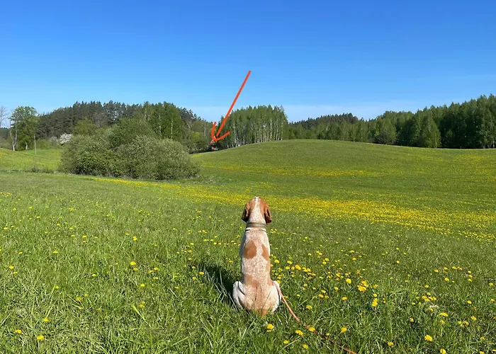 Zurawi Klangor Dom Z Sauna I Jacuzzi Дом отдыха Ramsowo