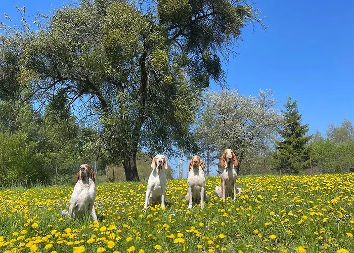 Zurawi Klangor Dom Z Sauna I Jacuzzi Дом отдыха *