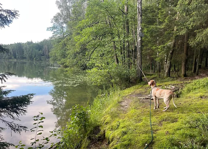 Zurawi Klangor Dom Z Sauna I Jacuzzi